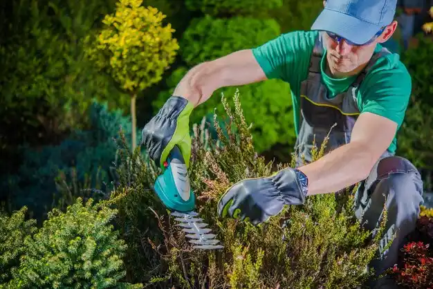 landscaping services Foxworth